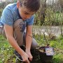 Zdjęcie 17 uczeń klasy 4 sadzi roślinę w ogrodzie.